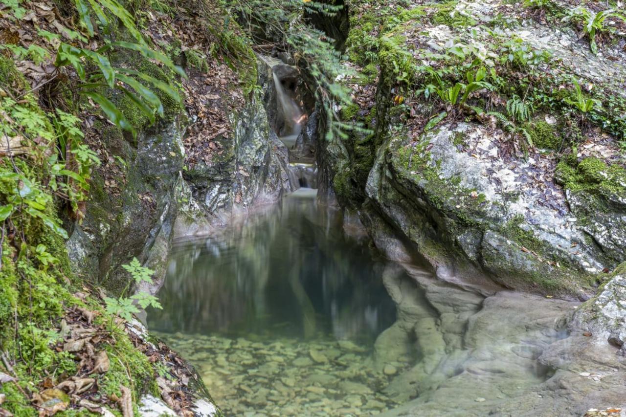 La Finestra Sul Holiday home Tignale