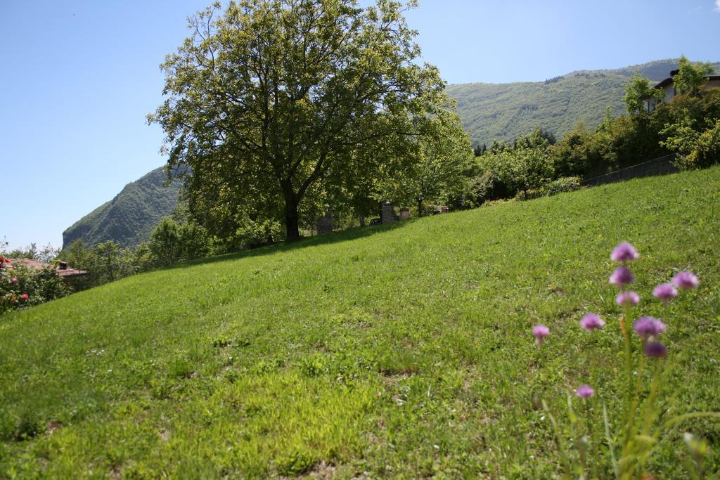 La Finestra Sul